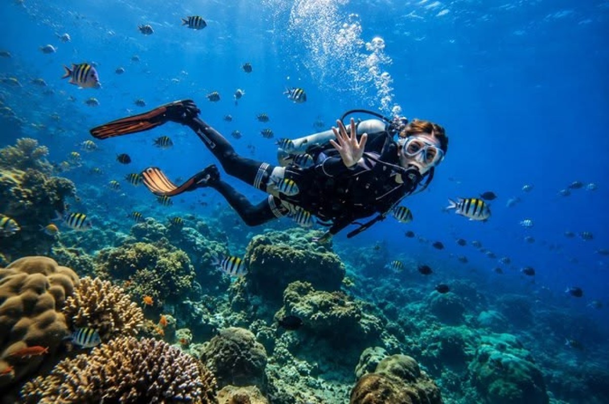 The Ultimate Getaway ( Family)  - 06 nights 07 days - 03 nights Portblair - 02 Nights Havelock - 01 Night Neil
