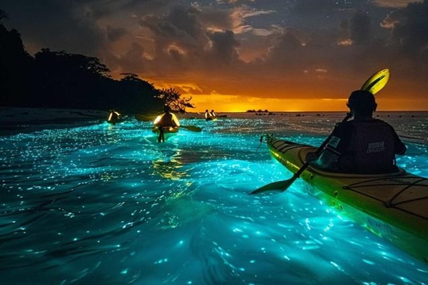 Port Blair – Havelock Island - Radhanagar Beach- Portblair